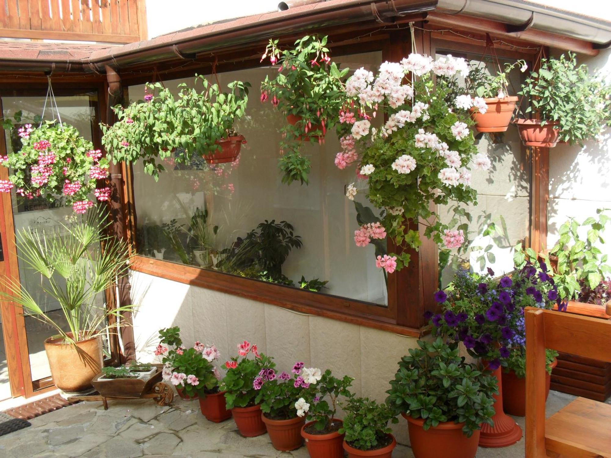 Family Hotel Nadejda Bansko Exterior foto